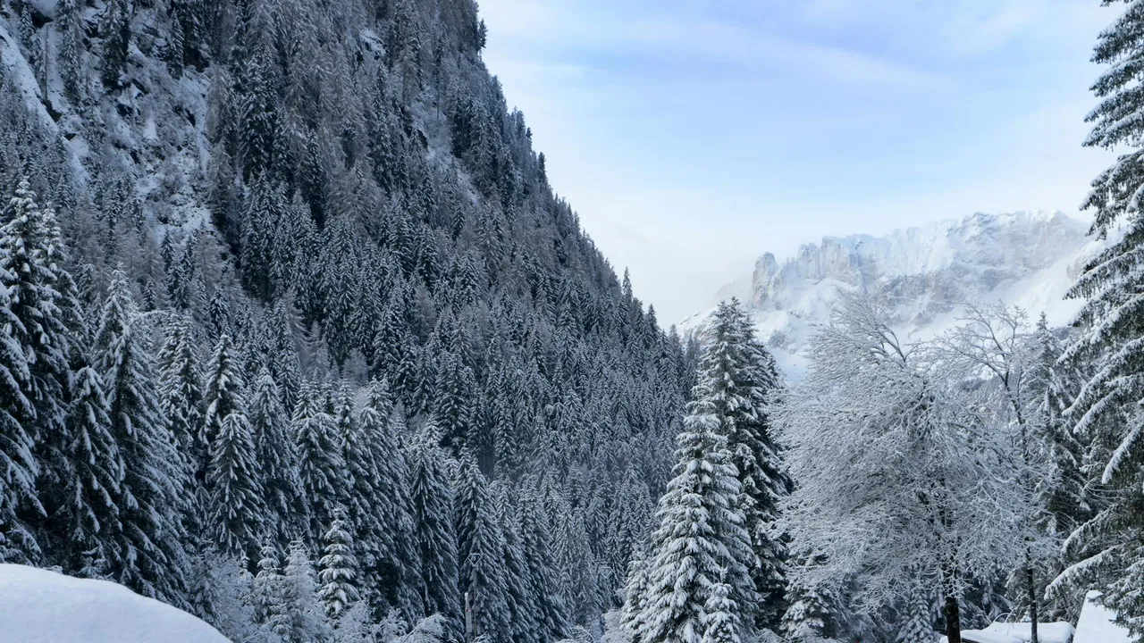Ski holiday in Moena in Italy
