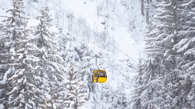 Ski holiday in Leogang
